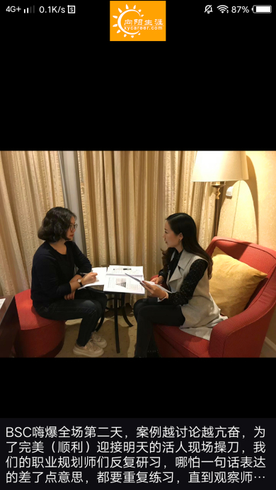 BSC職業(yè)規(guī)劃咨詢導師培訓交流