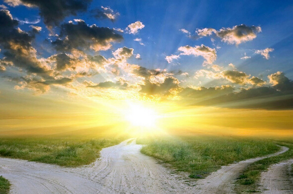 職業(yè)生涯的岔路口來襲，看看自己走到哪