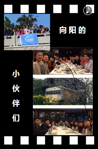 向陽生涯招聘:2015帶你一起飛