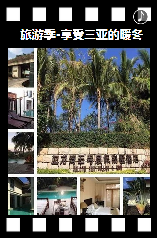 向陽生涯招聘:2015帶你一起飛