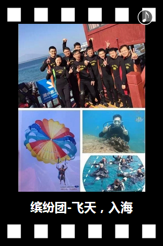 向陽生涯招聘:2015帶你一起飛